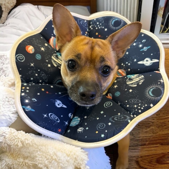 Other - New Elizabethan Soft Dog Collar with Velcro Close - Galactic Design, Small, NWOT